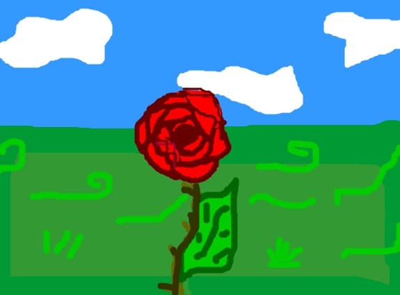 rose