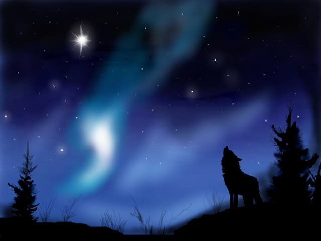 Aripi de ingeri sa va atinga sufletul,sa ia cu ei toate supararile,lasand in urma lumina si speranta