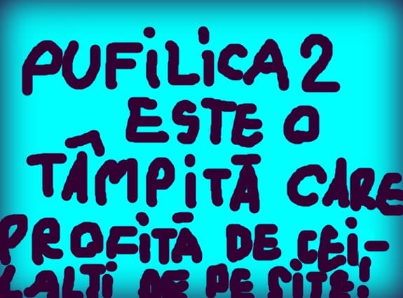 pufilica2 este o tampita care profita de ceilaltu de pe site..ca de exemplu:mica da vinci