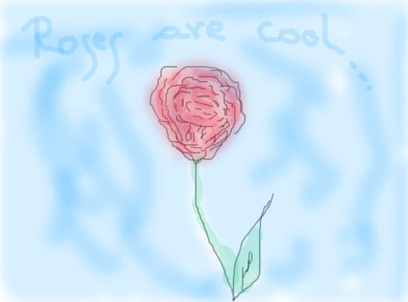 rose