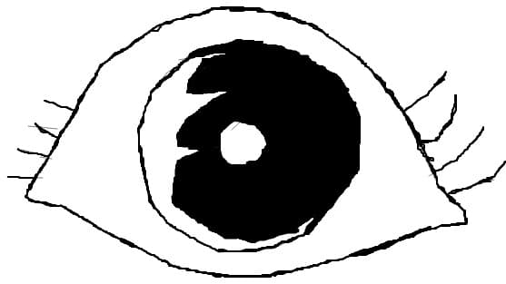 eye