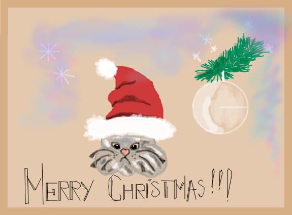 Craciun fericit!!!...Merry Christmas!!!