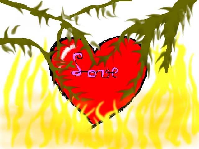 love