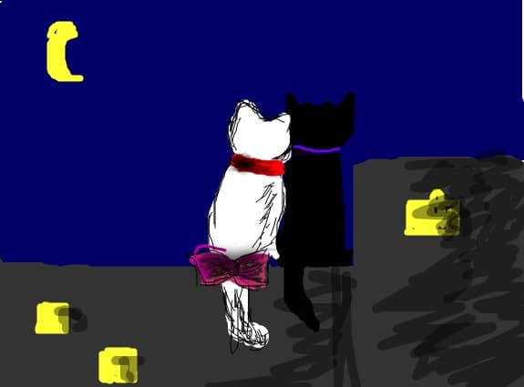cats in night