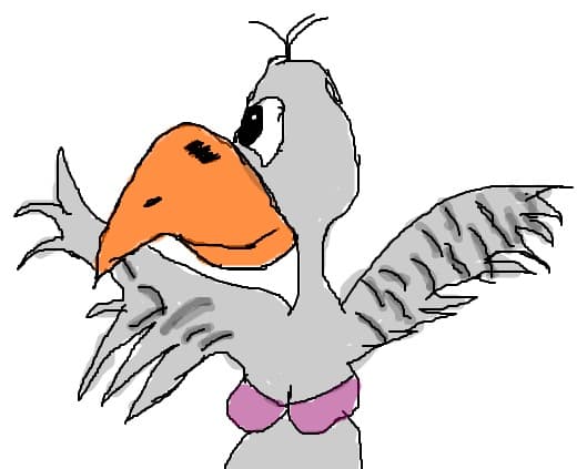 Pelican