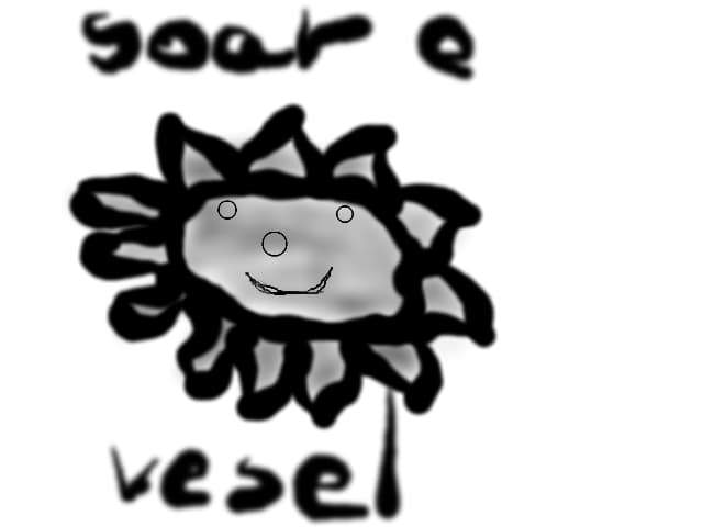 Soare vesel