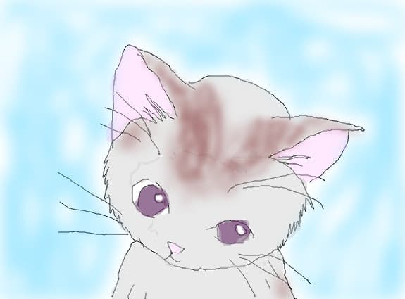 kitty