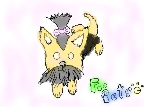 foo pets
