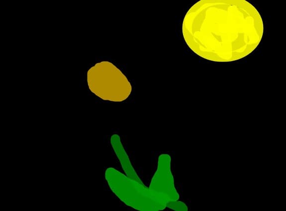 floare sub clar de luna