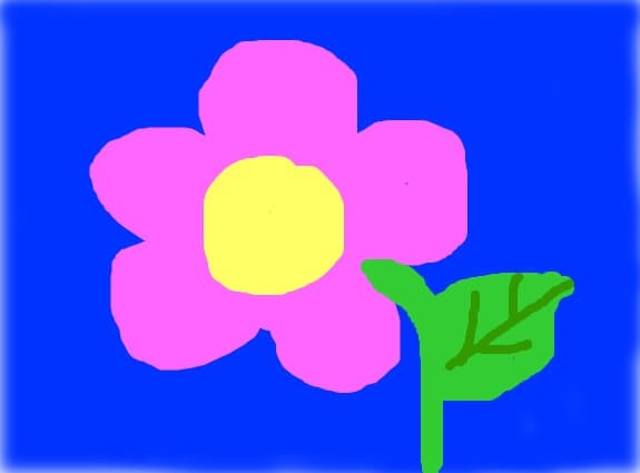floarea roz