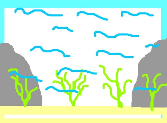 Ioanadrapac