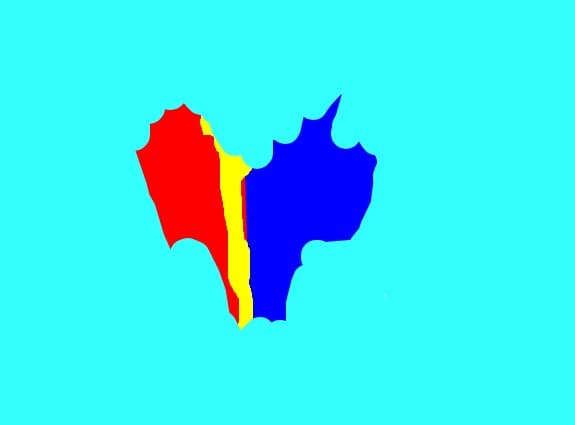 Inima