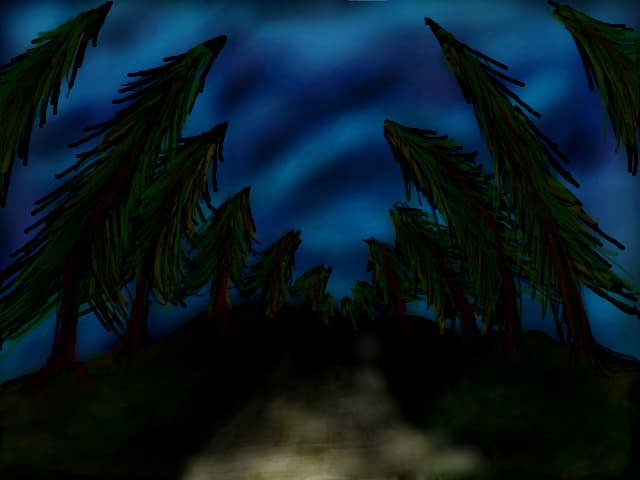 night.....