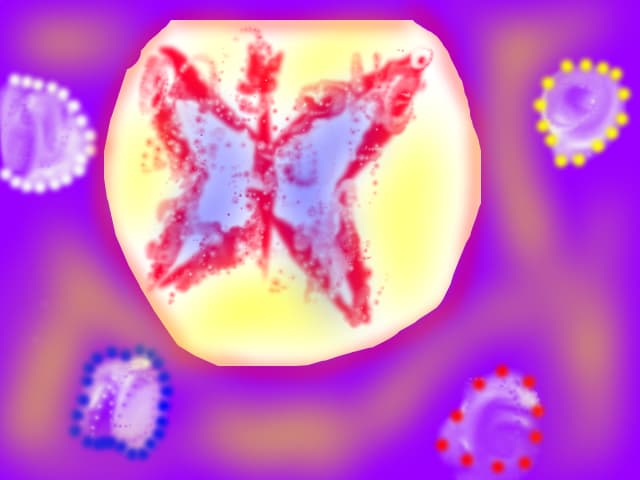 fluture