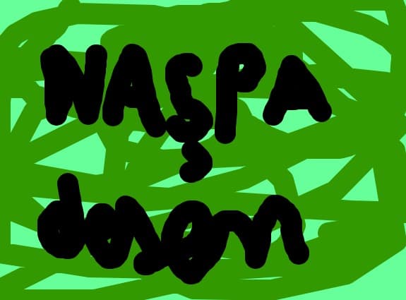 naspa desen