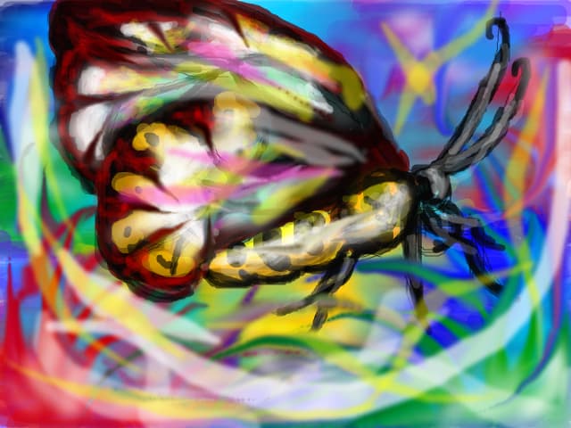 butterfly