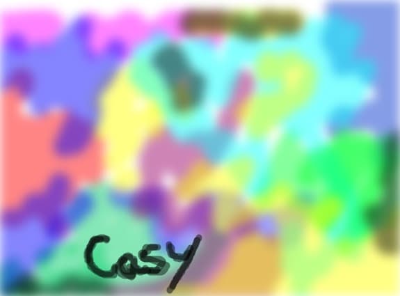 casy
