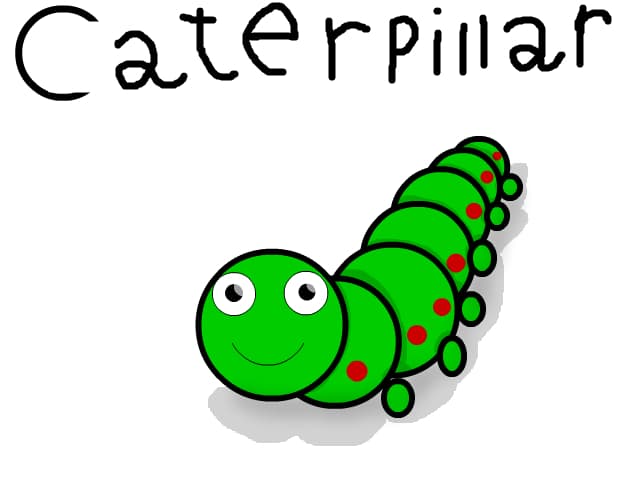 caterpillar