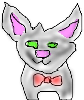 pisic dragut