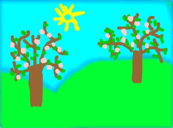 primavara te astept cu flori plantate pentru tine