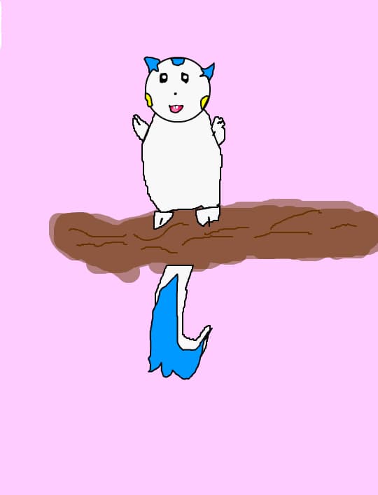 pachirisu