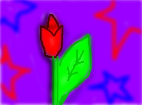 the flower