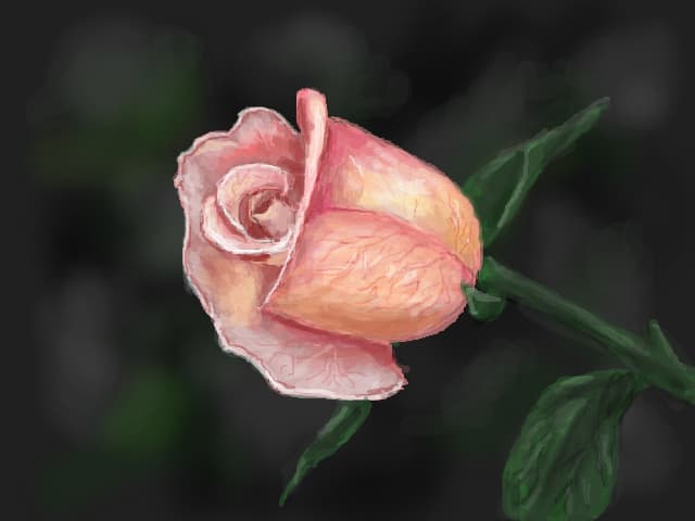 Still Life
