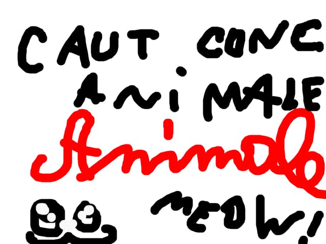 caut concurs cu animale