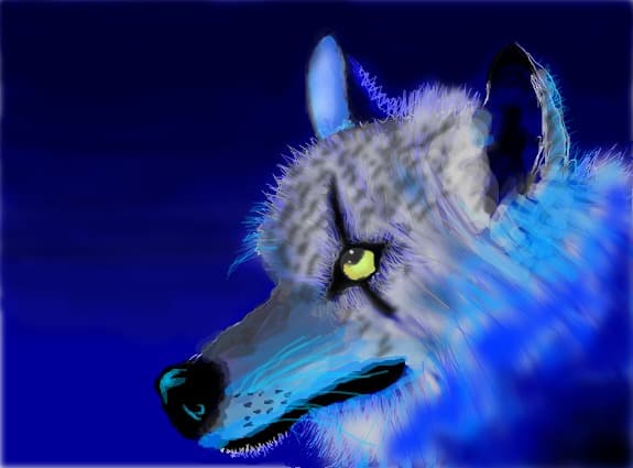 THE Wolf