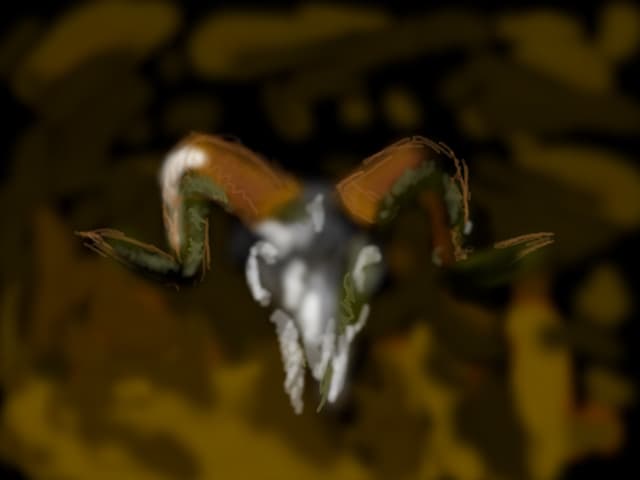 craniu test