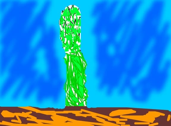 un fel de cactus