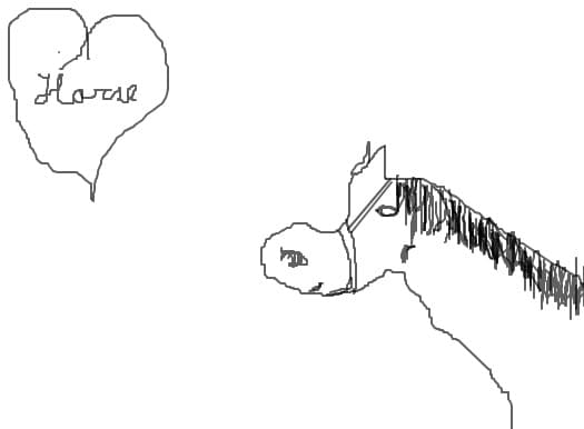 a horse