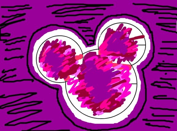 DISNEY