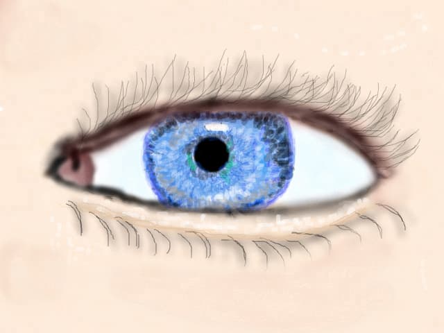 eye