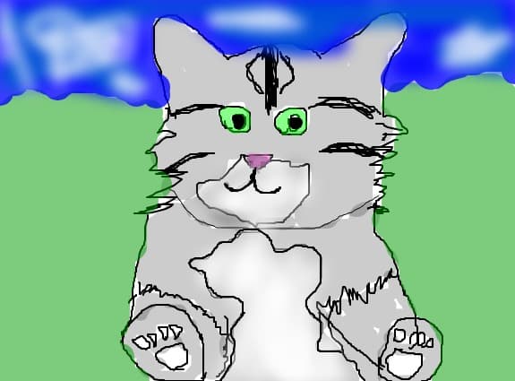 Petu` meu (my pet)