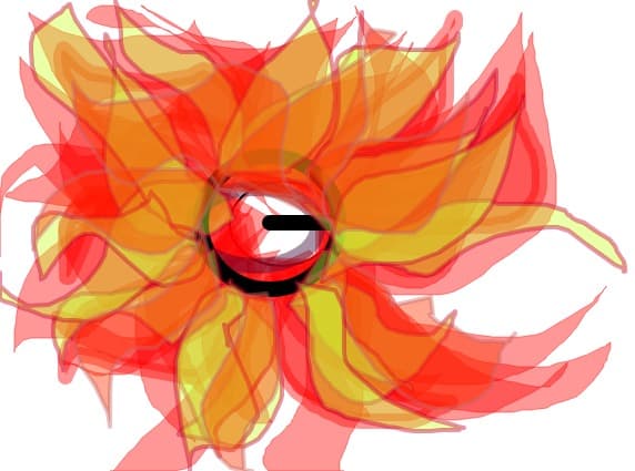 floarea culorilor