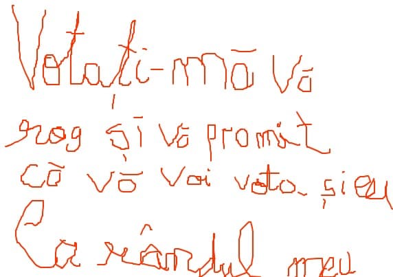 un mic text pt sa ma votati si va voi promite ca va voi vota dc ma votati si voi