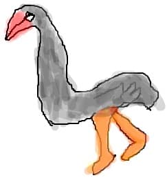 strut