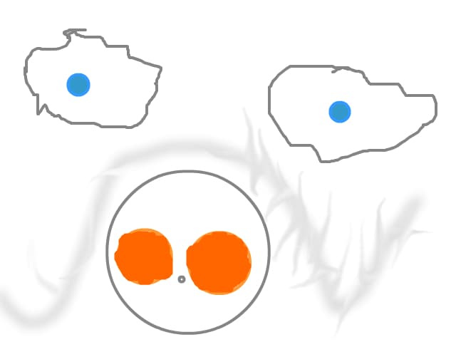 Fata porcului