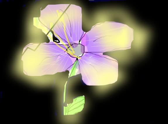 flowepower