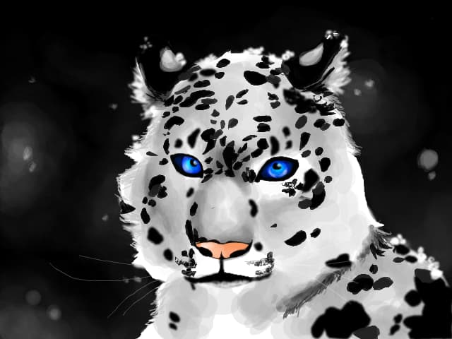 dalmatian