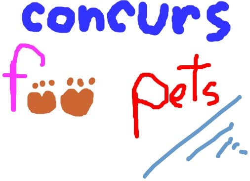 Concurs foopets