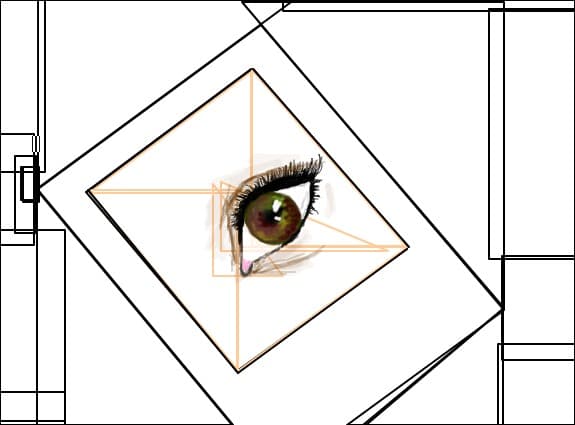Eye