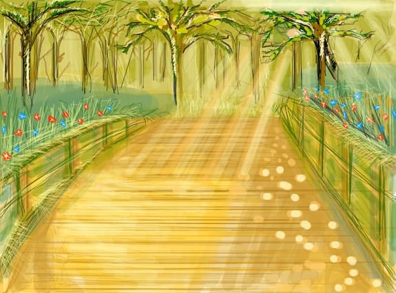 Tropical forest after the rain