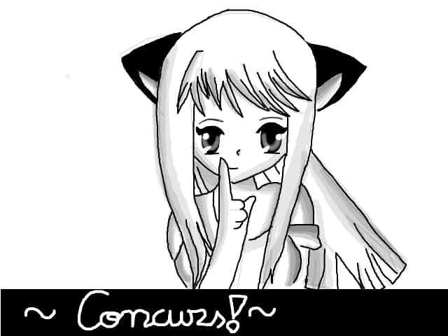 concurs-detalii la profil