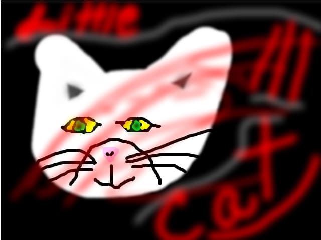 little cat