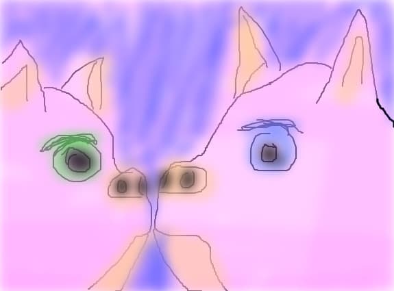 porci