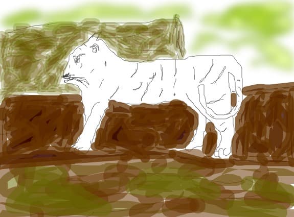 Animal din savana Concurs