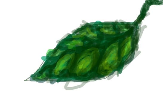 boberk