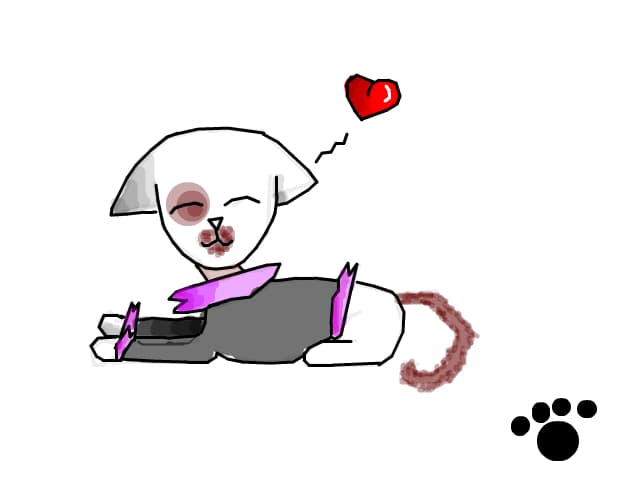 Pisica pentru Didy Smile\' :x